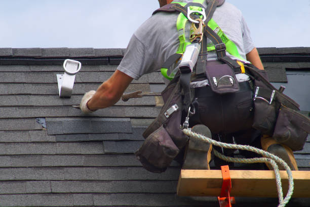 Best Roof Replacement Cost  in La Presa, CA