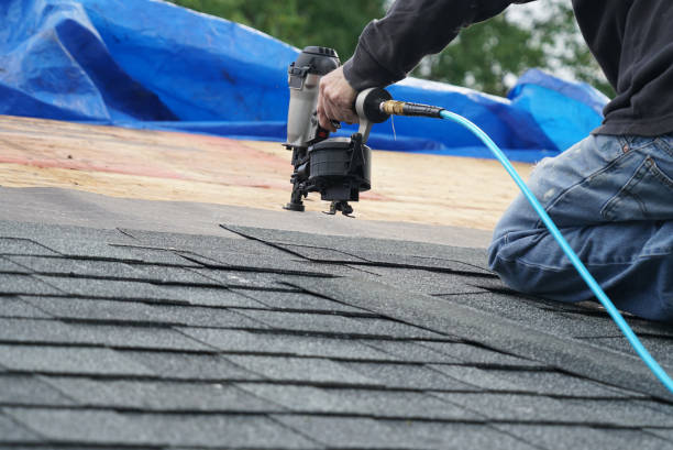 Best Roof Gutter Cleaning  in La Presa, CA