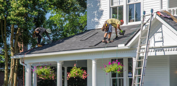 Gutter Installation and Roofing in La Presa, CA