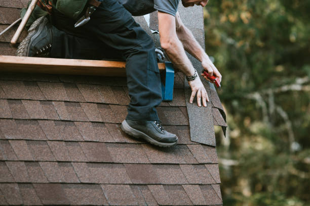 Best Emergency Roof Repair  in La Presa, CA