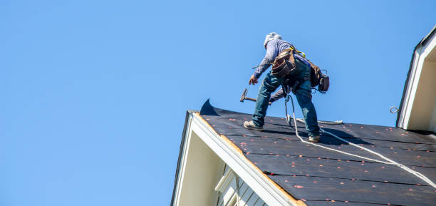 Best Roof Waterproofing Services  in La Presa, CA