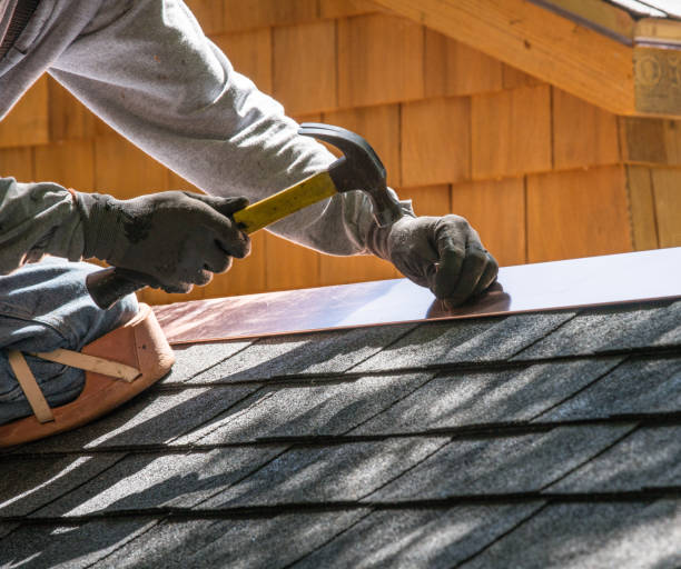 Best Local Roofing Companies  in La Presa, CA